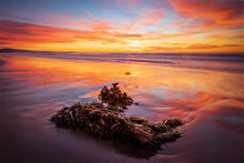 Load image into Gallery viewer, Mist and sunrise on Seven Mile Beach on the NSW South Coast.
