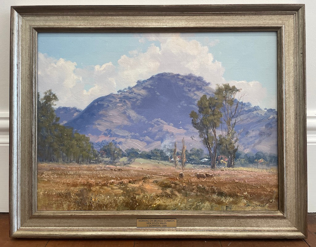 Framed oil painting of a country landscape of Brungle Common, NSW with Pine Mountain in the background.