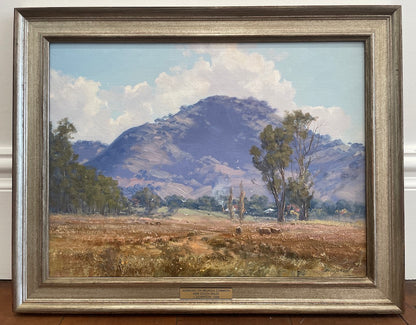 Framed oil painting of a country landscape of Brungle Common, NSW with Pine Mountain in the background.