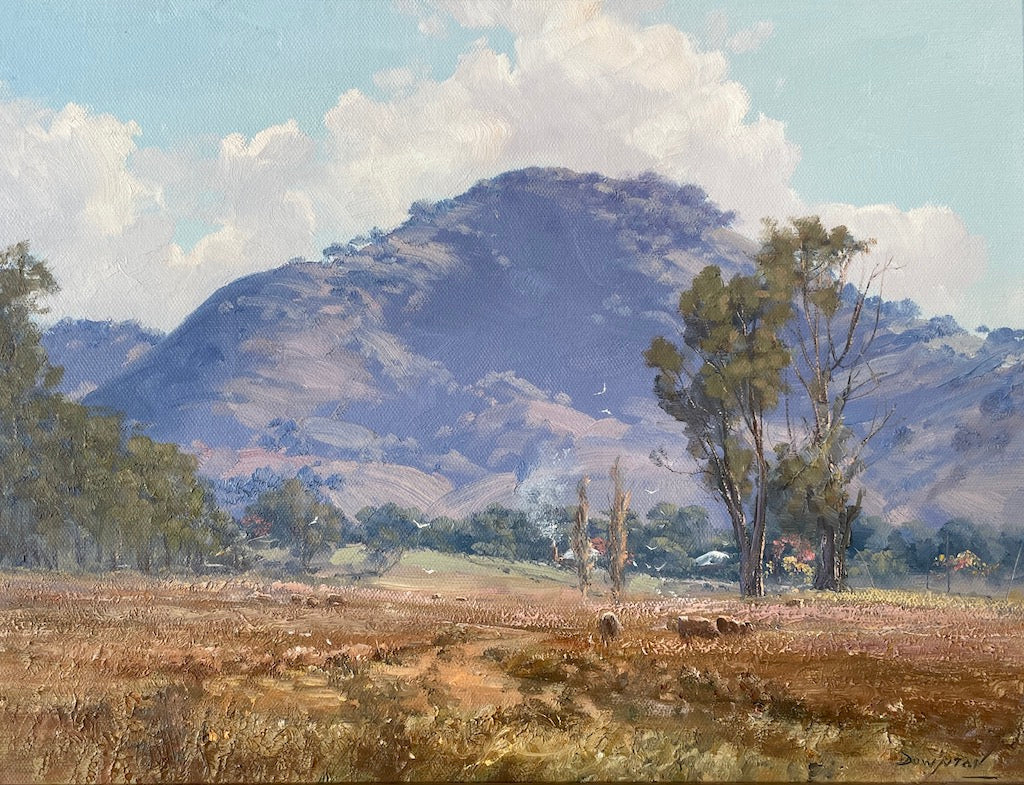 Country landscape of Brungle Common, NSW with Pine Mountain in the background.