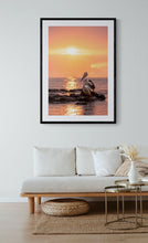 Load image into Gallery viewer, Jon Harris, Pelicans, Photographic Print
