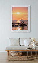 Load image into Gallery viewer, Jon Harris, Pelicans, Photographic Print
