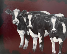 Load image into Gallery viewer, Three black and white cows standing side by side, serenely gazing straight ahead, against a maroon background. 
