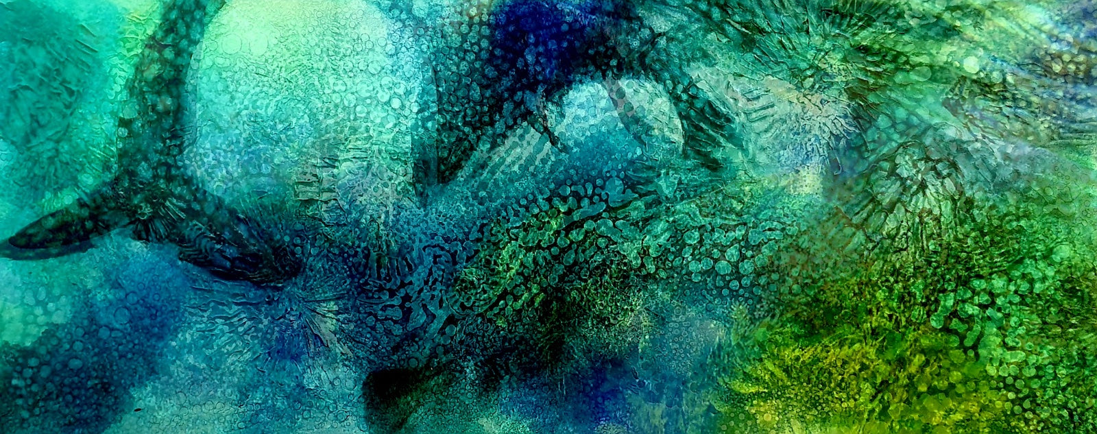 Underwater painting of seals on the NSW South Coast.