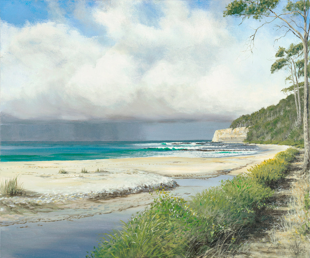 A beach on the NSW South Coast, with a creek running into the ocean, lots of fluffy white clouds and a storm brewing out at sea with a path leading to a tree covered headland.