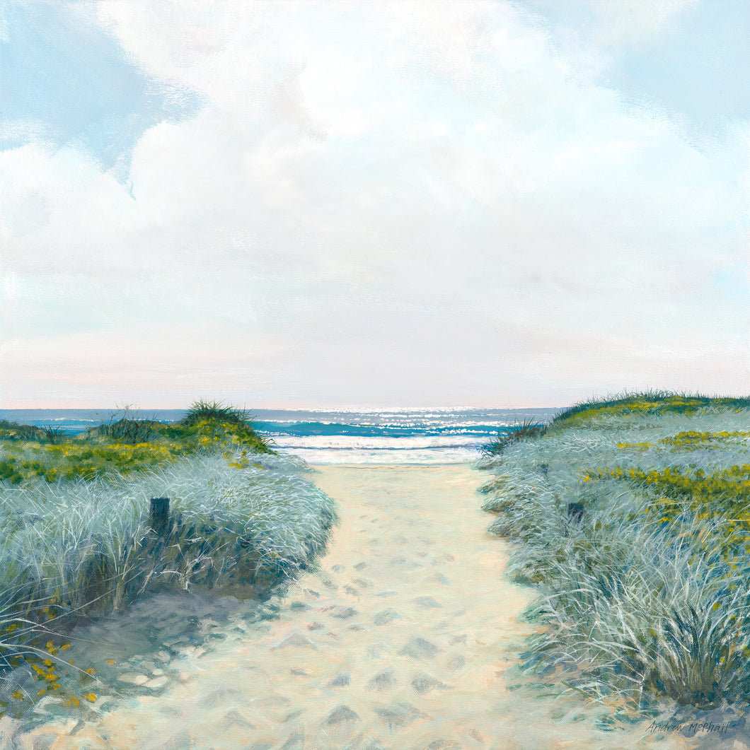 Andrew McPhail, South Werri Beach Track , Acrylic on Canvas