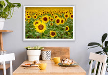 Load image into Gallery viewer, Jon Harris, Sunflowers, Photographic Print
