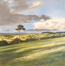 Load image into Gallery viewer, Andrew McPhail, original painting, One afternoon visiting a friend out the back of Kiama, I stopped on the side of the road to take in the beauty and power of the view. Afternoon storms were rolling in from the west. This pine tree stands tall and strong. More than a survivor, it represents generations past and the holds the possibility of living well beyond my life time.
