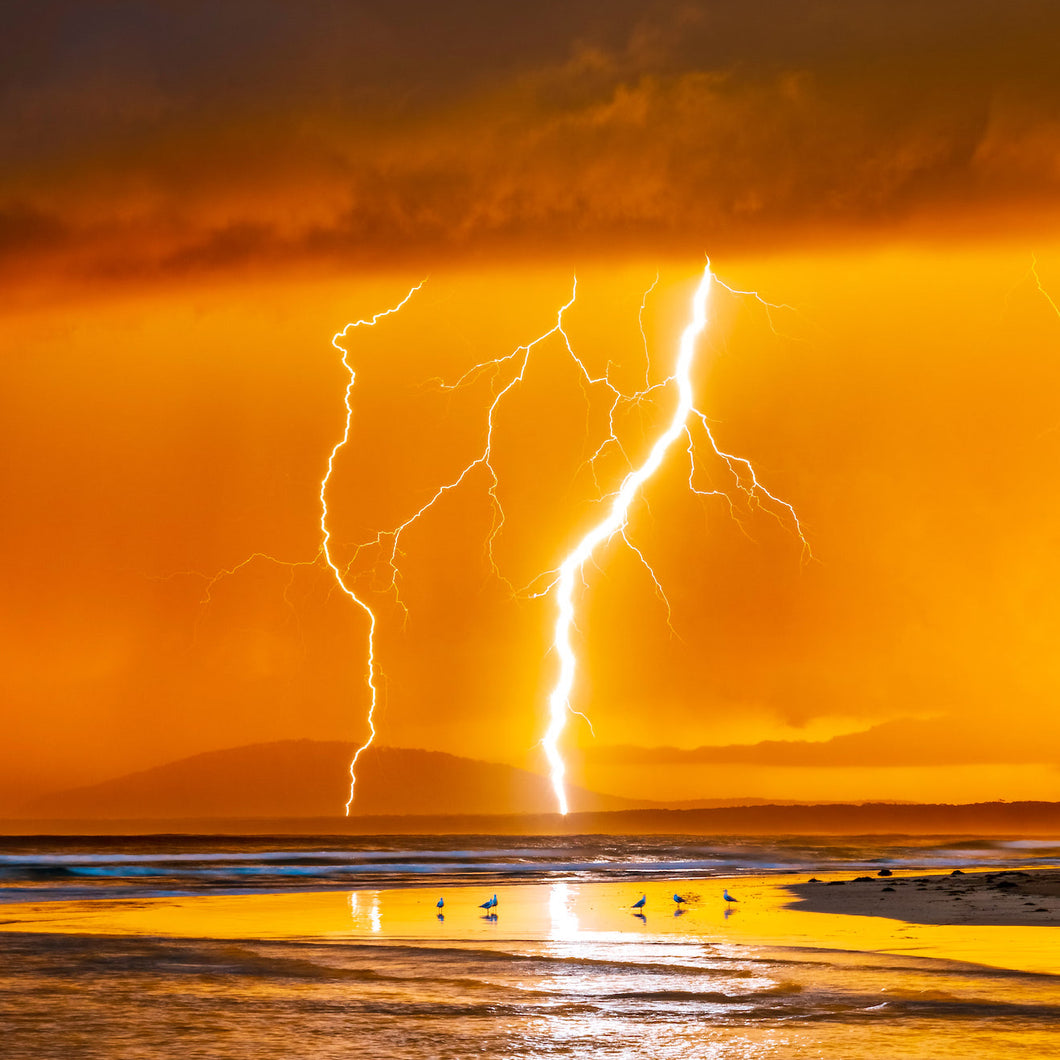 Seven Mile Beach on the NSW South Coast, with a golden sky and bolts of lightening. Square view.