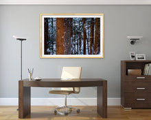 Load image into Gallery viewer, Jon Harris, Winter Forest Glow, Photographic Print
