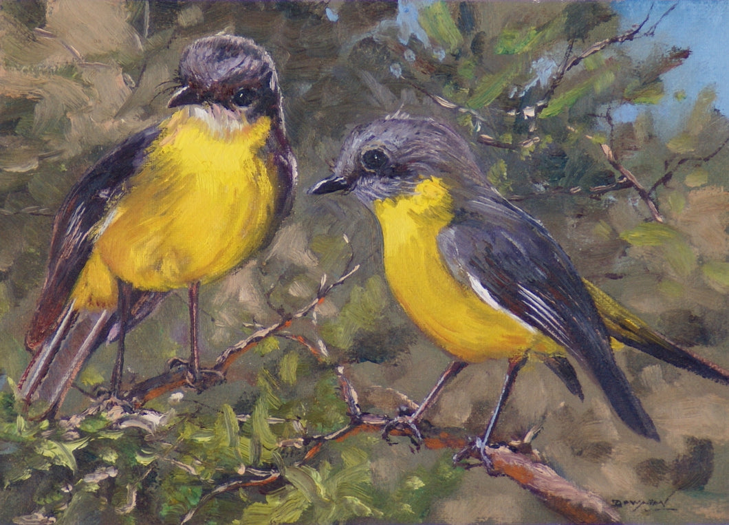 original painting of Two eastern yellow robins sitting on a branch.