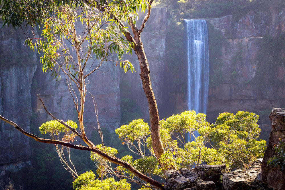Belmore Falls, spectacular waterfall in the NSW Southern Highlands.