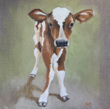 Load image into Gallery viewer, Meet Sweetpea, a dear little caramel and white coloured calf standing against a pale green and grey background. 
