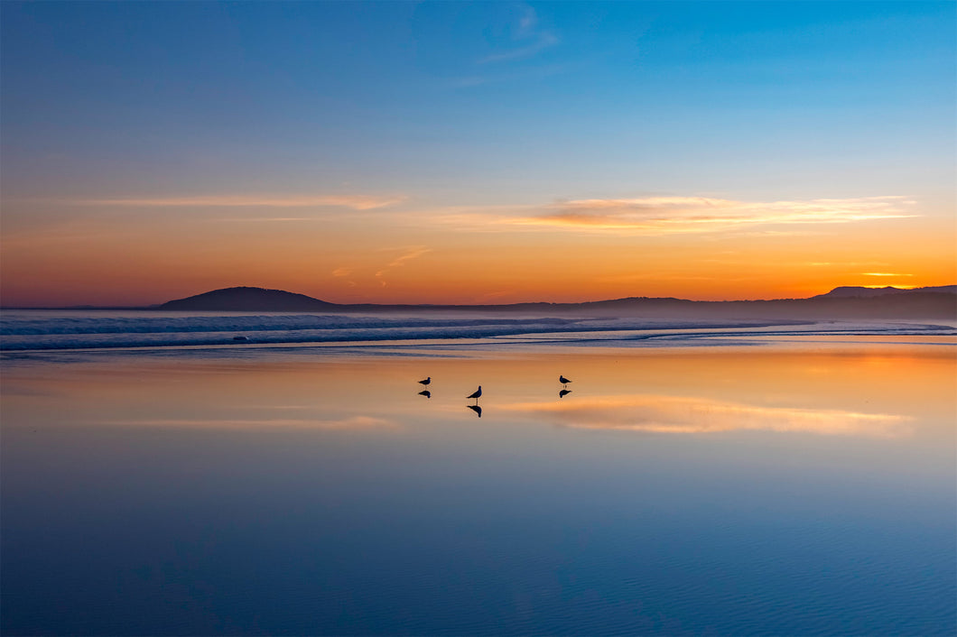 Beach scene at sunrise with 3 birds on the waters edge, NSW South Coast.