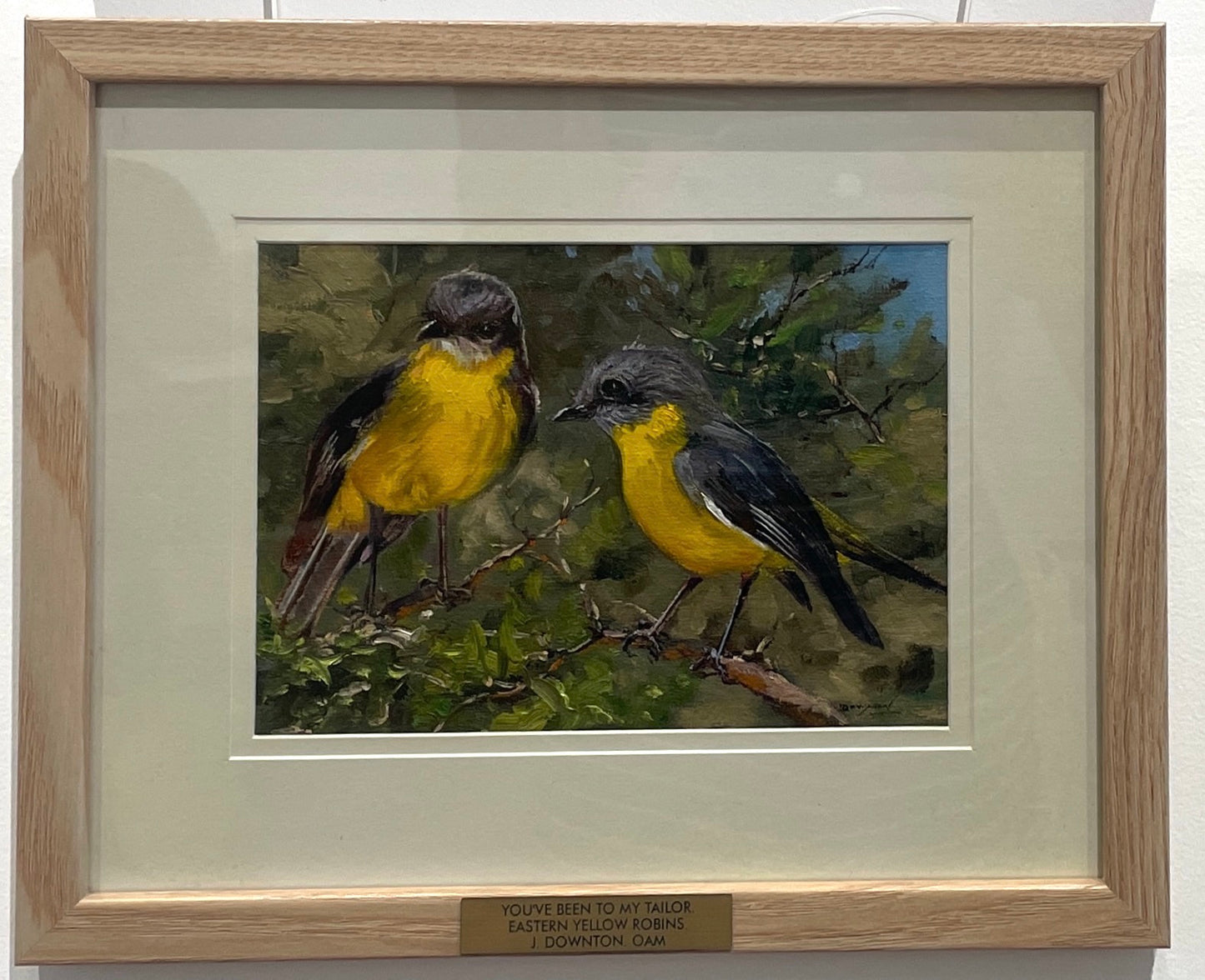 John Downton, "You've Been to my Tailor". Eastern Yellow Robins. Oil on Canvas